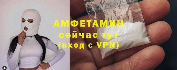 PSILOCYBIN Алагир