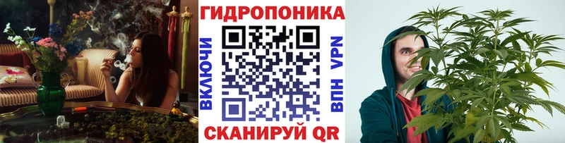 Каннабис планчик  KRAKEN рабочий сайт  Гурьевск 